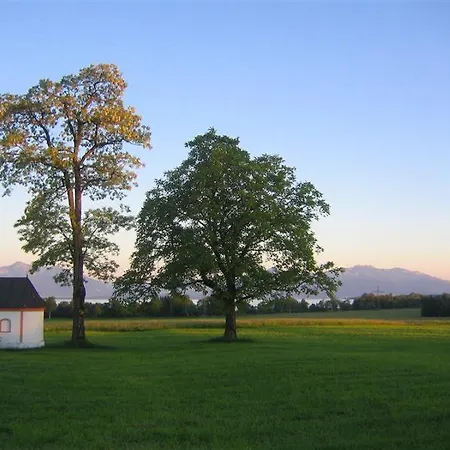 Moier-hof Lex *