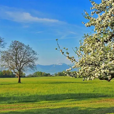Moier-hof Lex * Seeon-Seebruck